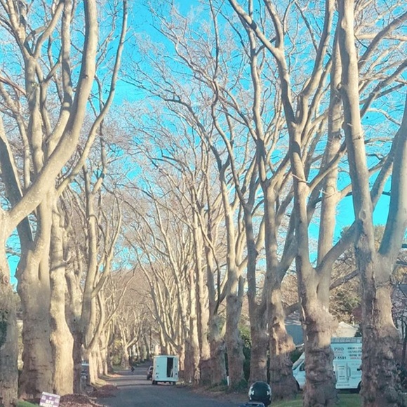 Meet your Posher, Lisbe - Picture 2 of 2